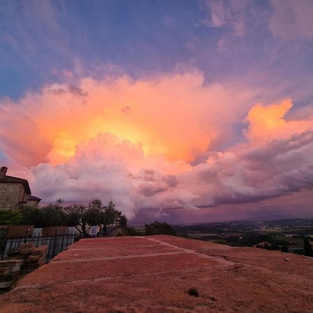 Vesionica Holiday House Perugia Civitella Benazzone Экстерьер фото